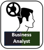 Business Analyst